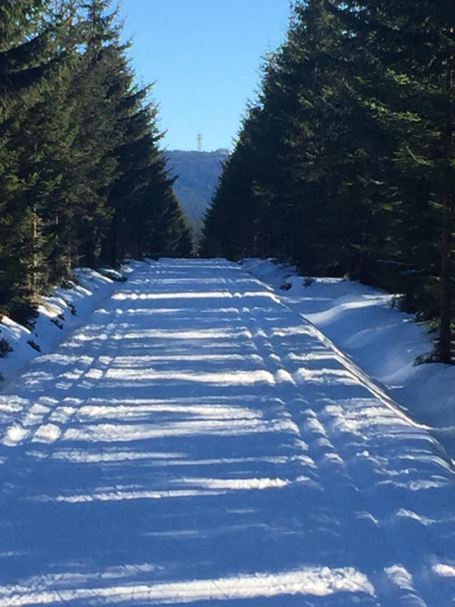 Penzion Na Slunicku Mariánská Bagian luar foto