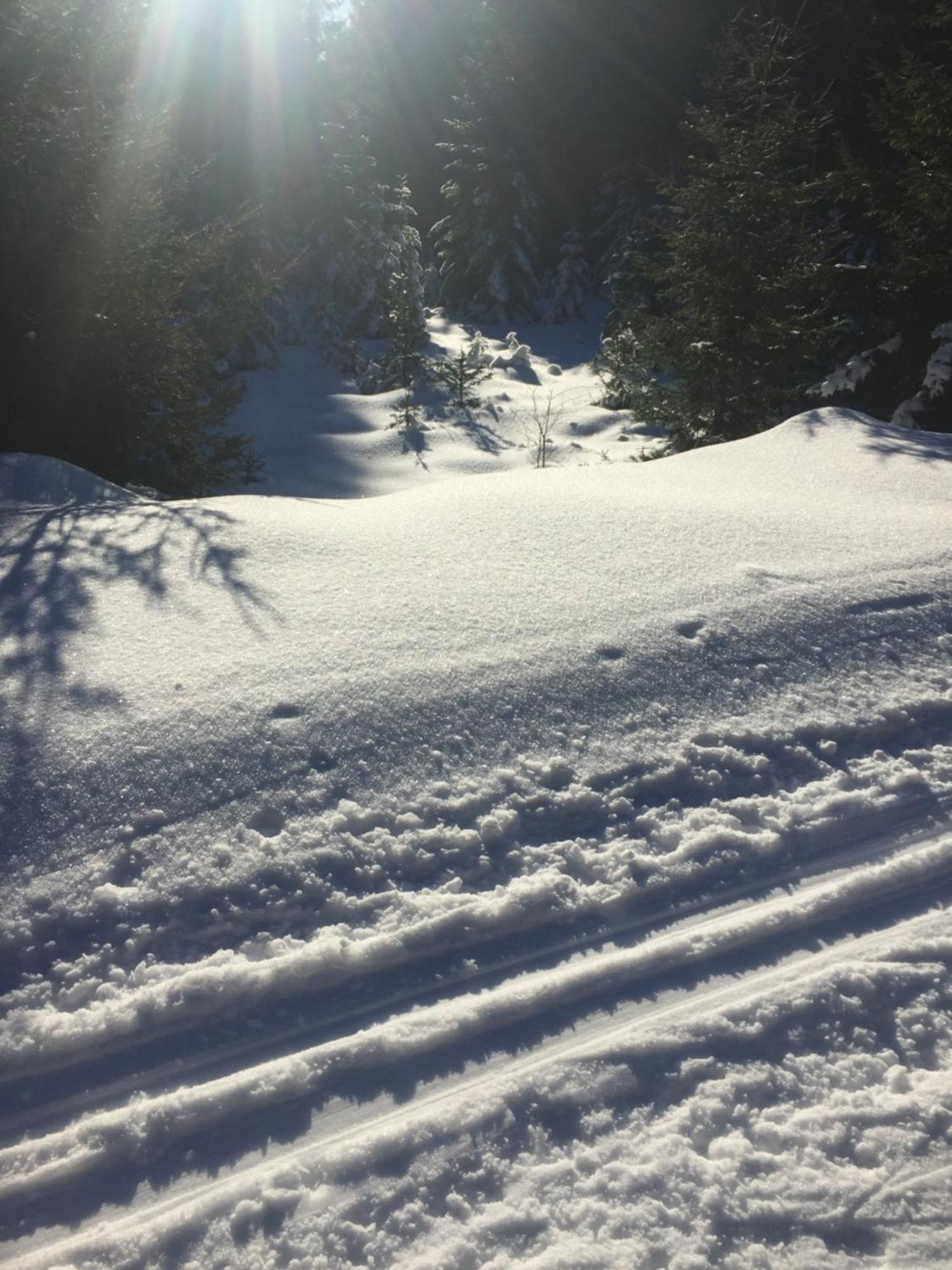 Penzion Na Slunicku Mariánská Bagian luar foto