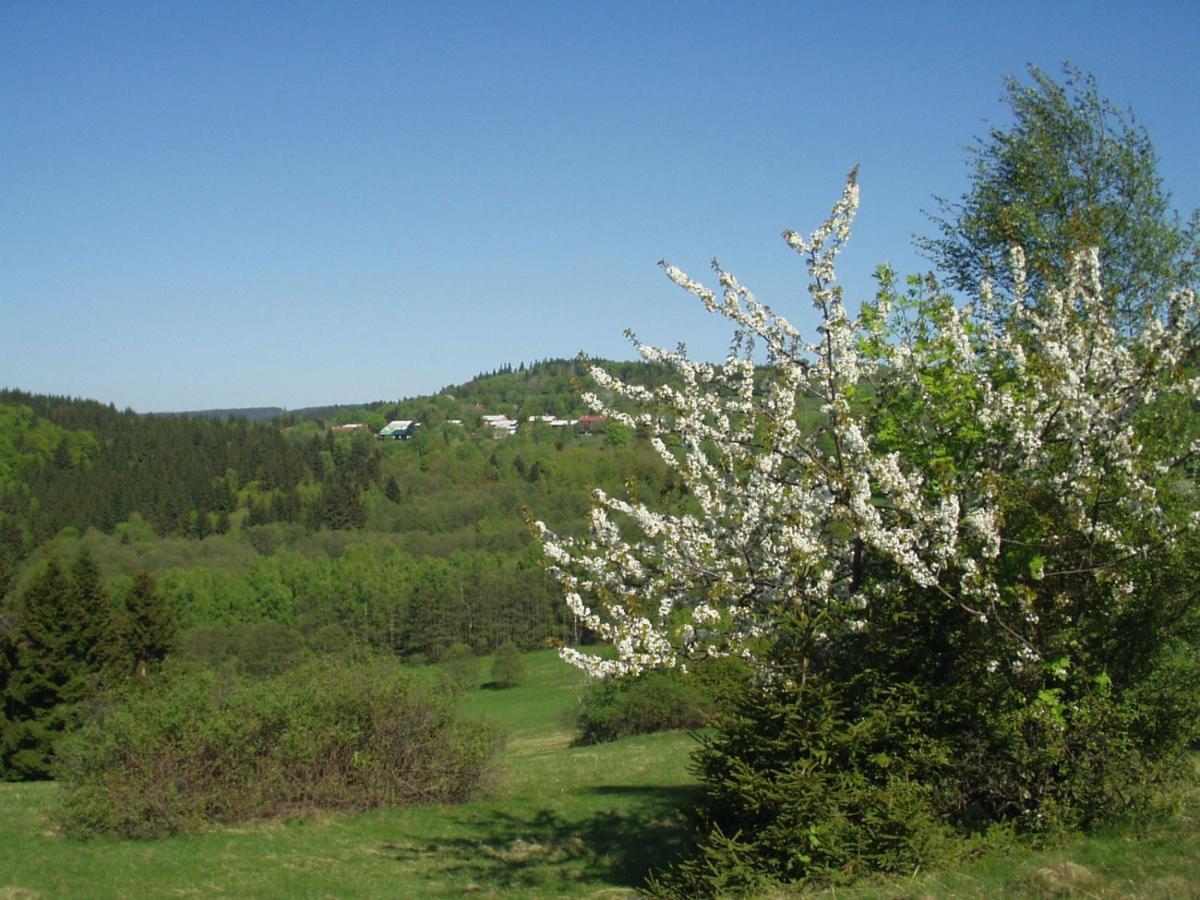 Penzion Na Slunicku Mariánská Bagian luar foto